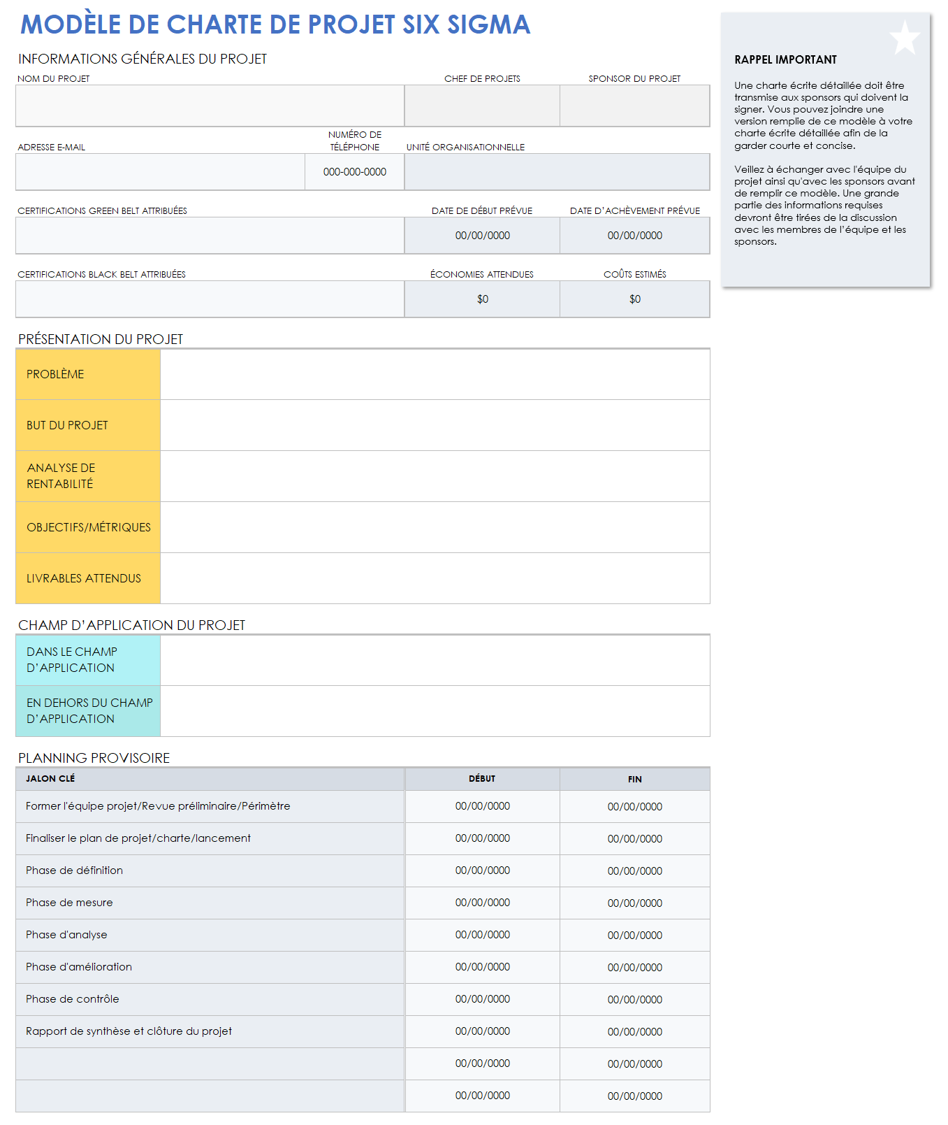 Charte de projet Six Sigma vierge